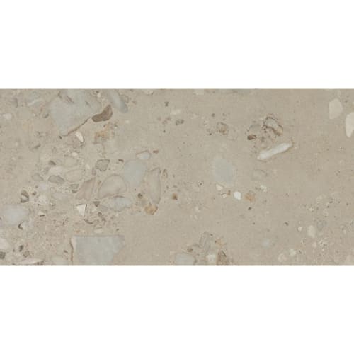 Sand and Stone in Tundra Rectangle Stone Tile