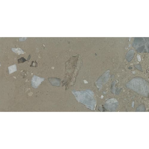 Sand and Stone in Dune Rectangle Stone Tile
