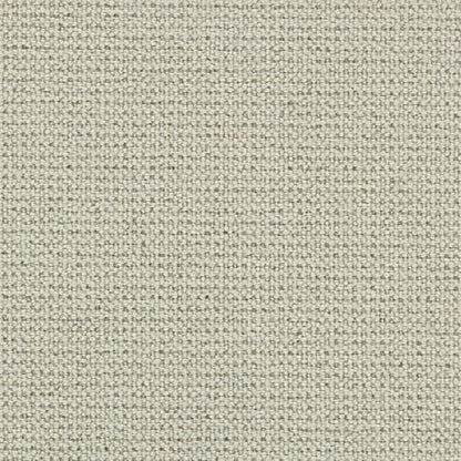 Stoney Point in Comfort White Carpet
