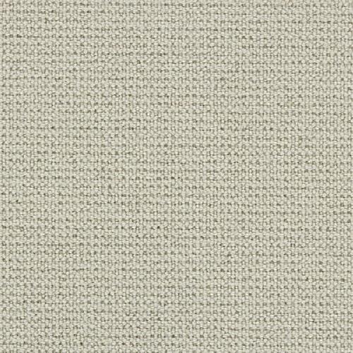 Stoney Point in Comfort White Carpet