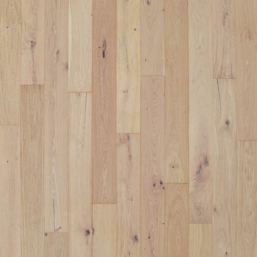 Castlewood Oak in Nobility