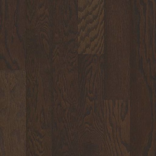 ALBRIGHT OAK 5 in Chocolate