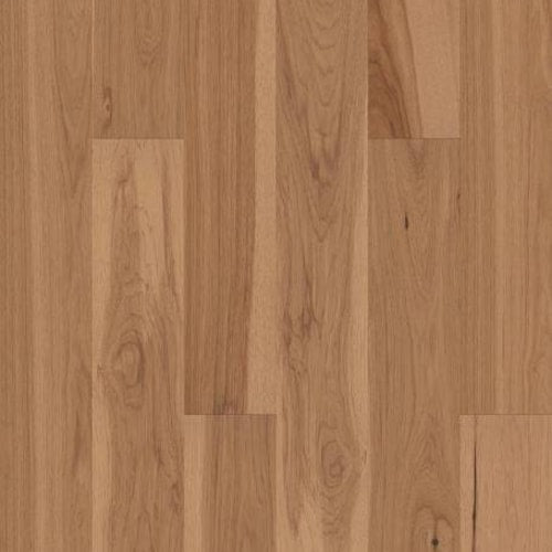 EXPLORATION HICKORY in Dune