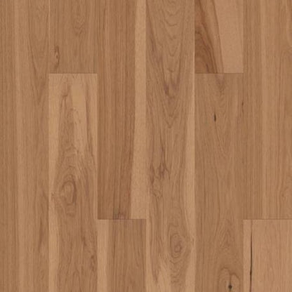 EXPLORATION HICKORY in Dune
