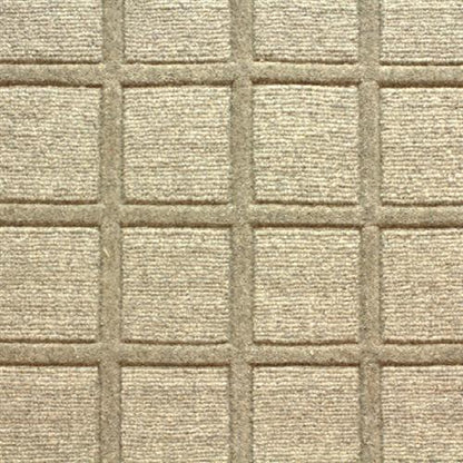 Synergy in Fossil Grey Carpet
