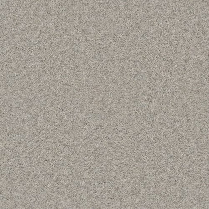 Windy City I in Sageview Carpet