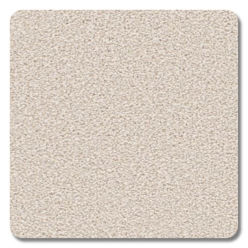 Sea Island in Seashell Carpet