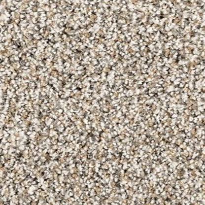 Luxuriant Space in Shorescape Carpet