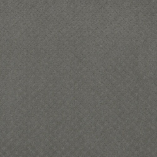 Stellar in Skyway Carpet