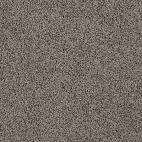 Spring Break in Wharf Carpet
