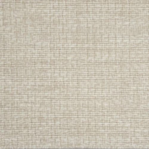 Talasari in Khaki Carpet