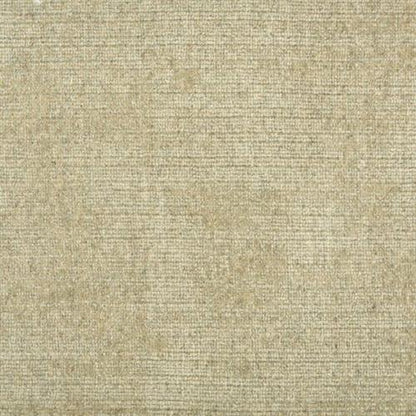 Trento in Pearl Carpet