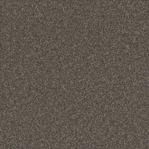 GOLD STANDARD II in Topaz Carpet
