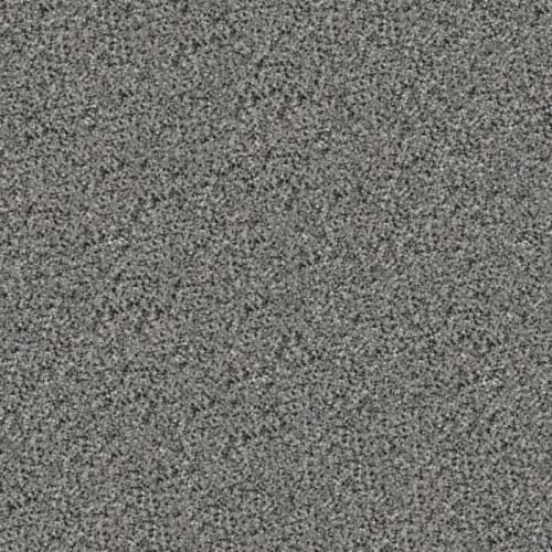 Tracker in Marmaduke Carpet