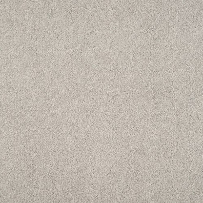 Tristan Plush II in Grey Dove Carpet