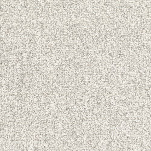 Tundra in Polar Carpet