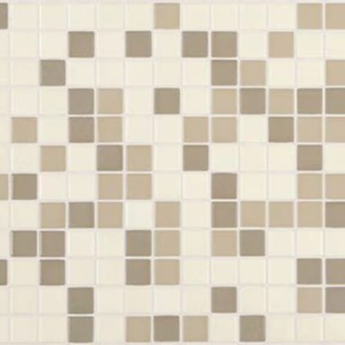Unglazed Mosaics in Totally Neutral Tile