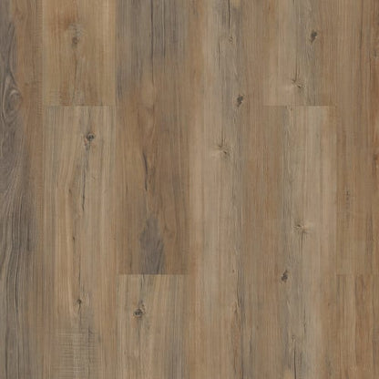 Coretec Pro Plus Enhanced Planks in Edinburgh Oak