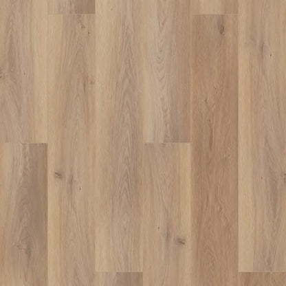 Coretec Pro Plus Enhanced Hd 9" VV488 in Wiltshire Oak