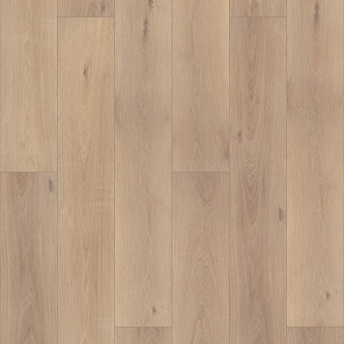Coretec Pro Plus Enhanced Hd 9" VV488 in Ravenswood Oak