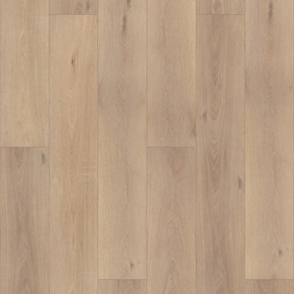 Coretec Pro Plus Enhanced Hd 9" VV488 in Ravenswood Oak
