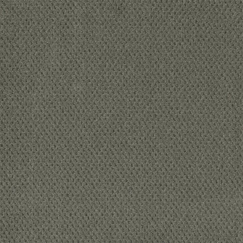 Prime in Ultramarine Carpet