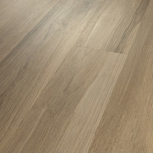 Everlasting Plus in Almond Oak