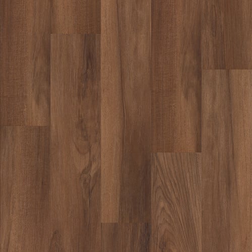 FRONTIER PLUS in Amber Oak