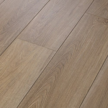 DISTINCTION PLUS in Ash Oak