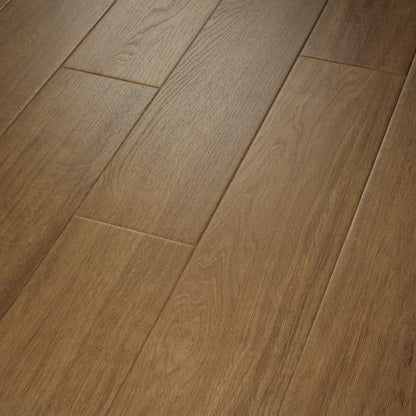 PANTHEON HD+ NATURAL BEVEL in Jasper