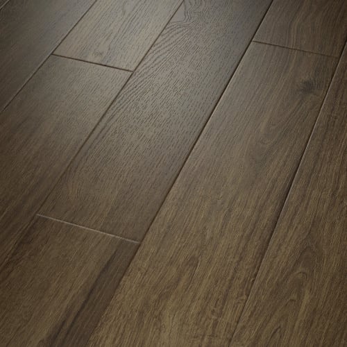 PANTHEON HD+ NATURAL BEVEL in Cordovan