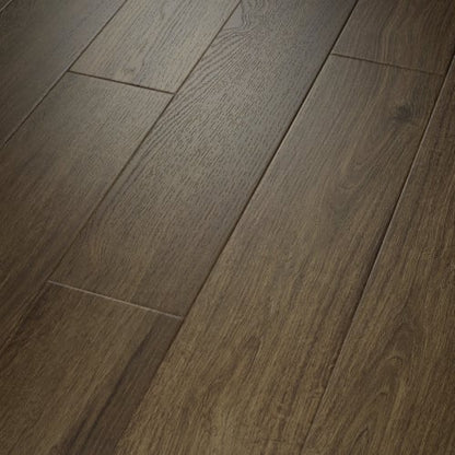 PANTHEON HD+ NATURAL BEVEL in Cordovan