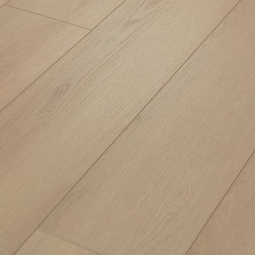 Dwell in Cozy Taupe