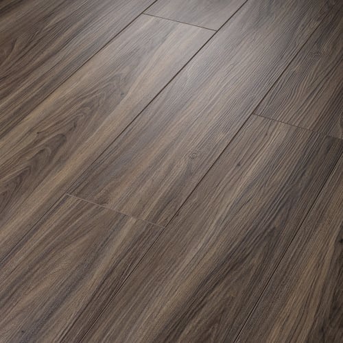 Paladin Plus in Cinnamon Walnut