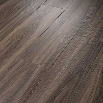 Paladin Plus in Cinnamon Walnut