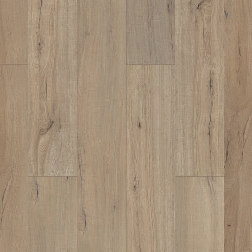 Paladin Plus in Driftwood