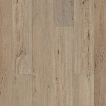 Paladin Plus in Driftwood