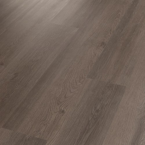INFINITE 20 in Boheme Brown