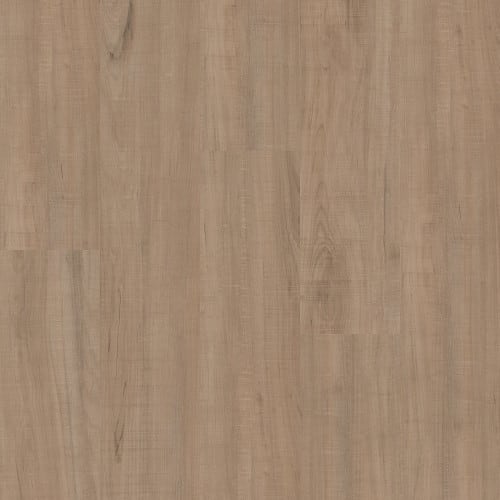 SETUP in Chatter Oak