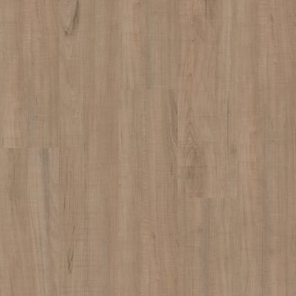 SETUP in Chatter Oak