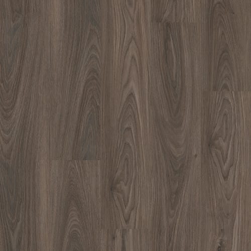 SETUP in Dark Elm