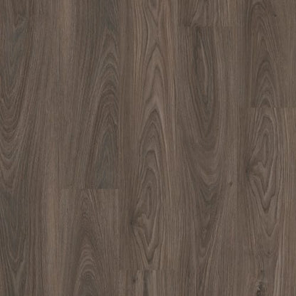 SETUP in Dark Elm