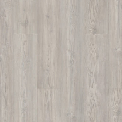 SETUP in Clean Pine
