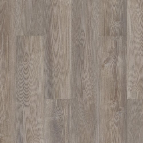 SETUP in Grey Chestnut