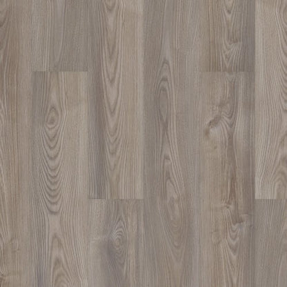 SETUP in Grey Chestnut