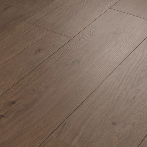 Visionary in Tuxedo Bronze