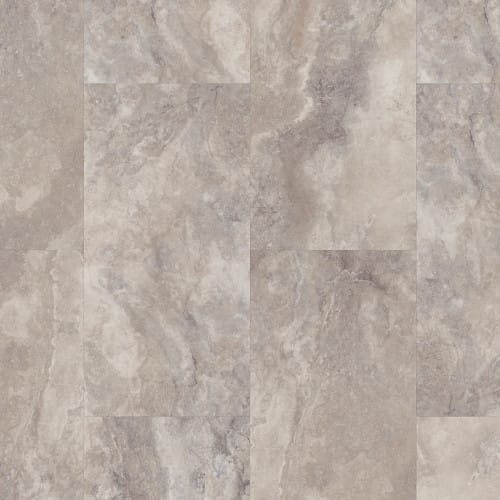 Apex in Fossil