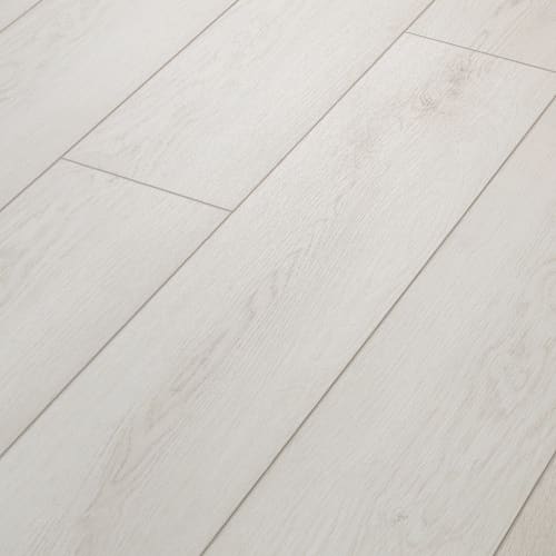 Paladin Plus in Feather Grey