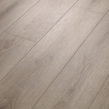Paladin Plus in Ashen Brown