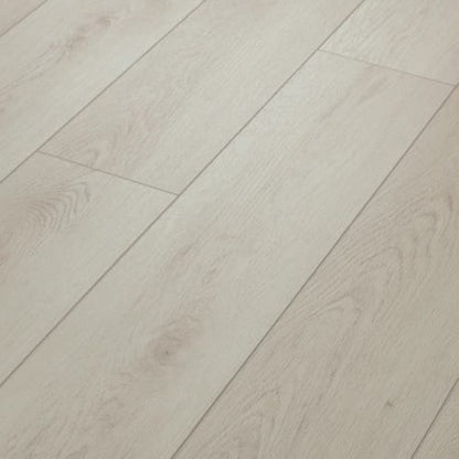 Paladin Plus in Warm Grey